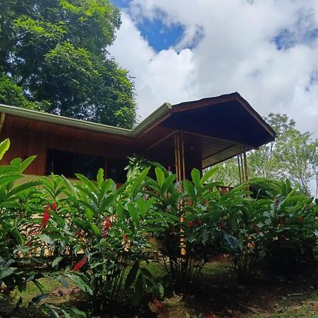 Gambas Lodge La Fortuna Екстериор снимка