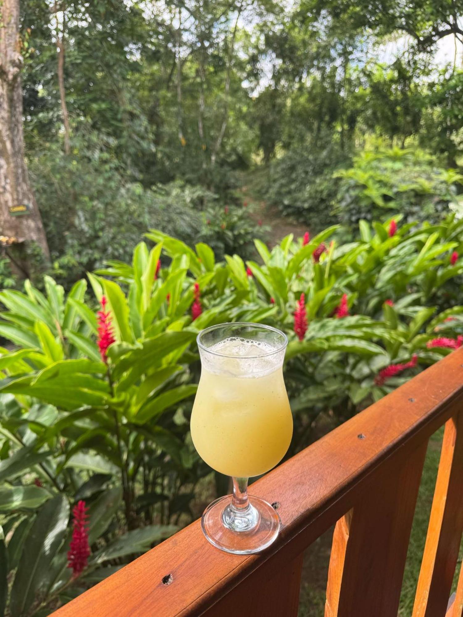 Gambas Lodge La Fortuna Екстериор снимка